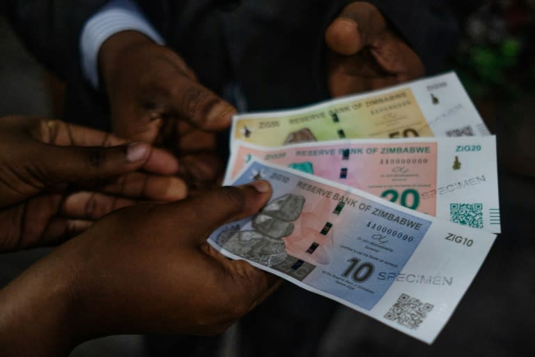 Zimbabwe's Reserve Bank has launched the ZiG (Zimbabwe Gold) currency in a bid to tackle a skyrocketing inflation (Jekesai NJIKIZANA)