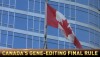 Canada Gene Editing Rule 1280.jpg